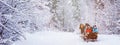 Winter landscape, banner - view of the snowy road with a horse sleigh