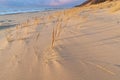 Winter, Saugatuck Dunes Lake Michigan Royalty Free Stock Photo