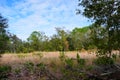 The winter landscape of Florida Trail