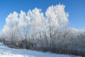 Winter Landscape with beautiful hoarfrost and rime on trees Royalty Free Stock Photo
