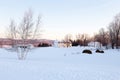 Winter landscape with beautiful patrimonial double white house with Mansard roof and wooden barns set in snowy field