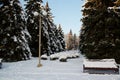 Winter landscape with a bench covered with snow in the middle of winter frosted trees and street lamps.Streets of Stavropol, Cauca Royalty Free Stock Photo