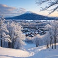 This is a winter landscape at Biei town in Hokkaido prefecture, Japan. Biei town is well known as a tourist