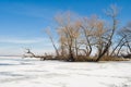 Winter landscape on a big Ukrainian river Dnepr Royalty Free Stock Photo