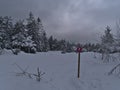 Winter landscape in Black Forest with snow-covered meadow and trees on cloudy day with purple colored trail marking.