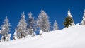 Winter landscape with blue sky