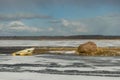 Winter landscape with a boat on the shore of the lake, ice covered lake, Lake Burtnieki Royalty Free Stock Photo