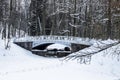 Winter landscape. Bridge over the frozen pond. Snow-covered park on a cold winter day