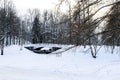 Winter landscape. Bridge over the frozen pond. Snow-covered park on a cold winter day