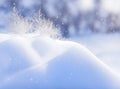Winter landscape. Bright day, snow, sunny. Blurred background snow forest. Royalty Free Stock Photo