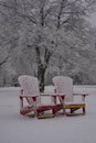 Winter landscape - red Muskoka adirondack wooden chairs in city park in heavy snowstorm