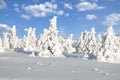 Winter on Brocken Mountain,Harz National Park,Germany Royalty Free Stock Photo