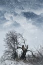 Winter landscape with broken lonely tree and cloudy sky during snowfall