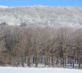 Winter landscape in Bromont mountain