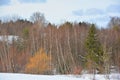 Winter landscape Bromont Shefford Royalty Free Stock Photo