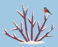 Winter Landscape, Bullfinch Sitting on Snow Bush