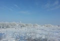 Frozen field in winter Royalty Free Stock Photo