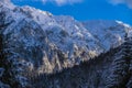 Winter landscape with Carpati Piatra Craiului mountain