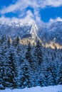 winter landscape with Carpati Piatra Craiului mountain