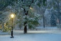 Winter landscape in Central Park. New York City. USA Royalty Free Stock Photo