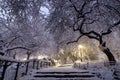 Winter landscape in Central Park. New York City. USA Royalty Free Stock Photo