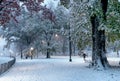 Winter landscape in Central Park. New York City. USA Royalty Free Stock Photo