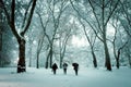 Winter landscape in Central Park. New York City. USA Royalty Free Stock Photo