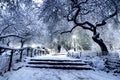 Winter landscape in Central Park. New York City. USA Royalty Free Stock Photo