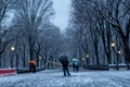 Winter landscape in Central Park. New York City. USA Royalty Free Stock Photo