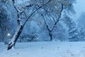 Winter landscape in Central Park. New York City. USA Royalty Free Stock Photo