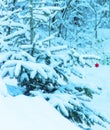 Winter landscape with a Christmas tree in the snow and Christmas tree decoration in the form of a red star.