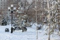 winter landscape in the city park of the city of Kokshetau