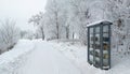 Winter landscape in the city Park of Gatchina. A bookcase in the city park. A snow-covered alley and white trees in a severe frost Royalty Free Stock Photo