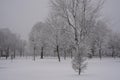 Winter landscape of a city park during heavy snowstorm, wet snow covering trees and branches. Royalty Free Stock Photo