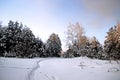 Winter landscape. Clearly visible winding path. Slightly pinkish snow and colorful sky