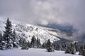 Winter landscape on a cloudy day in the Giant Mountains Royalty Free Stock Photo