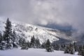 Winter landscape on a cloudy day in the Giant Mountains