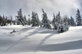 Winter landscape on a cloudy day in the Giant Mountains