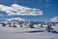 Winter landscape on a cloudy day Royalty Free Stock Photo