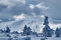 Winter landscape on a cloudy day Royalty Free Stock Photo