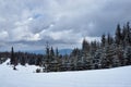 Winter landscape on a cloudy day Royalty Free Stock Photo