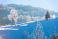 Winter landscape in the cold winter Romania Royalty Free Stock Photo