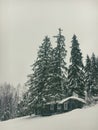 Winter landscape in the coniferous forest. Abandoned old wooden house, the Forester`s hut on a snowy meadow in the Carpathian mou Royalty Free Stock Photo