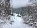 Winter landscape in the coniferous forest. Abandoned old wooden house, the Forester`s hut on a snowy meadow in the Carpathian mou