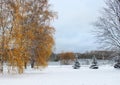 winter landscape, cool winter day, beautiful nature, texture background of trees on the lake shore