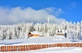 winter landscape with a cottage near pine trees covered with snow