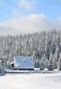 winter landscape with a cottage near pine trees covered with snow