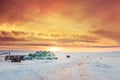 Winter Landscape, countryside in sunset with vivid colorful sky, Iceland