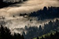 Winter landscape covered with morning fog