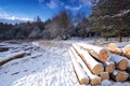 Winter landscape covered by snow Royalty Free Stock Photo